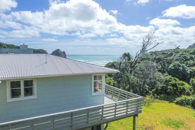 19 Beach Valley Road Piha_3