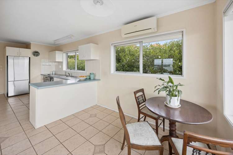 29 Vanessa Crescent Glendowie_4