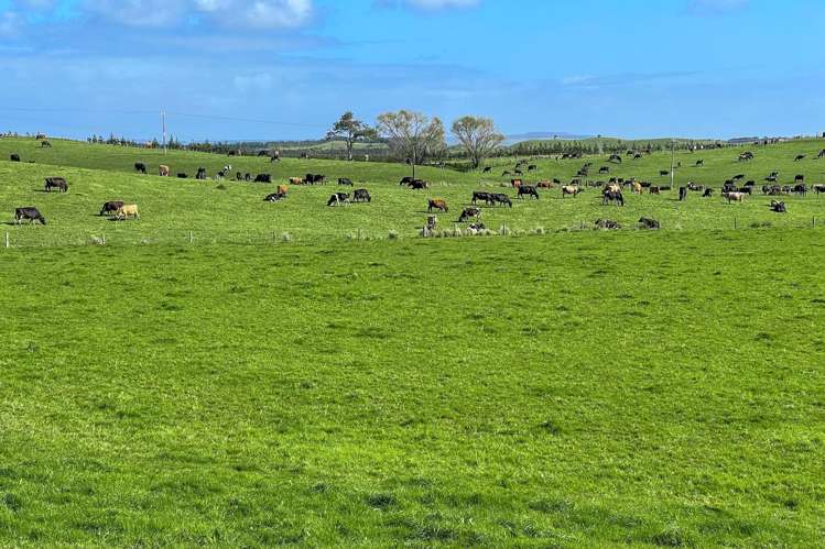 392 and 421 Journeys End Tapora_12