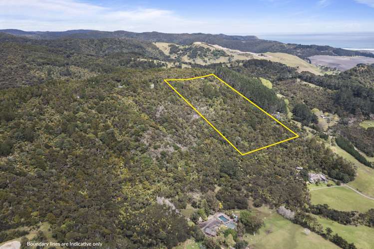 19 Te Aute Ridge Road Waitakere_30