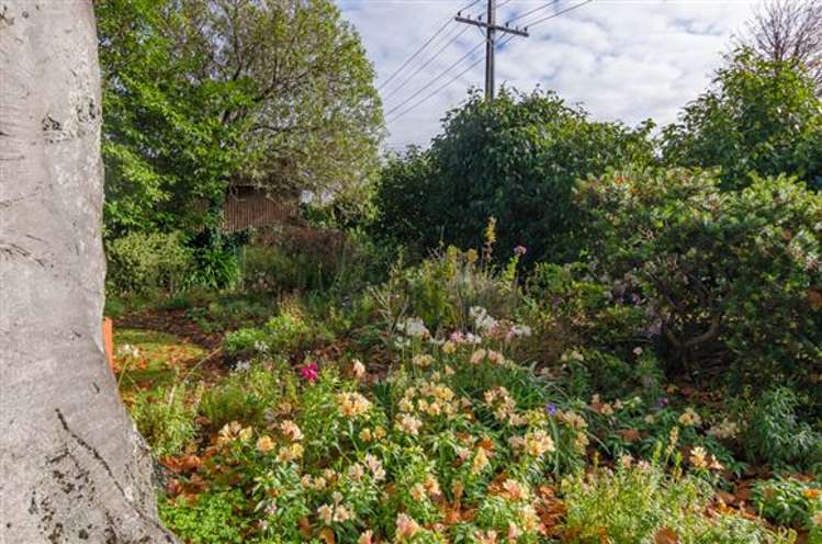 50 Roberts Road Masterton_14