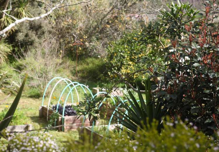 66 Palmer Road Foxton Beach_58