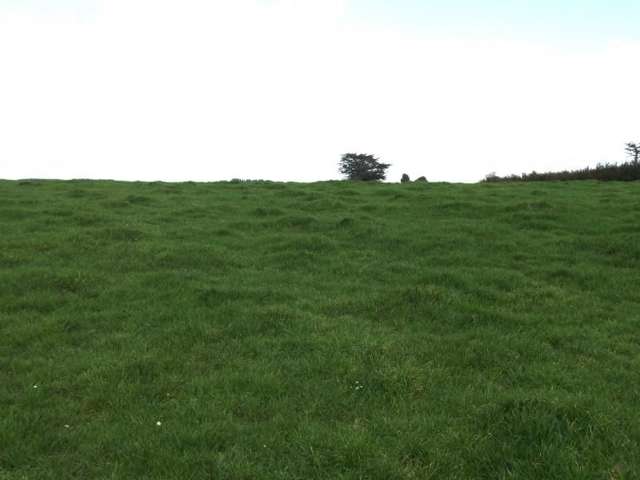 273 Opunake Road Cardiff_2