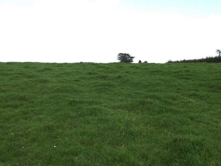 273 Opunake Road Cardiff_2