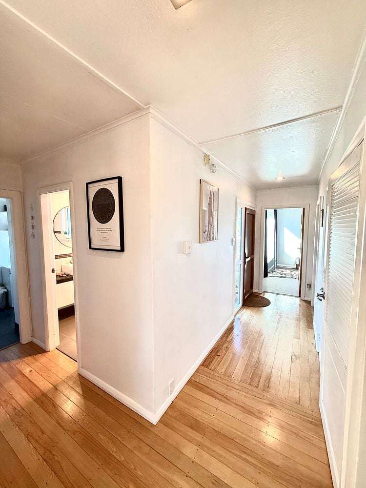 52 Chaucer Street Milton_10