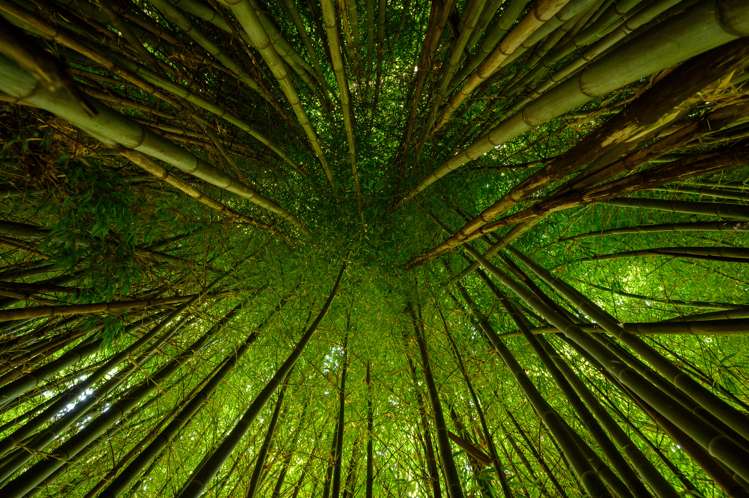 403 Hamurana Road Ngongotaha_20