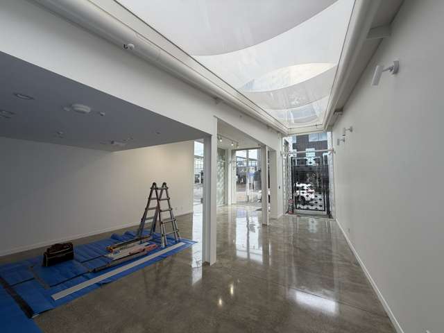 59 Mackelvie Street Ponsonby_1