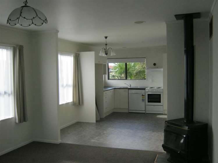 87 Domain Road Tauranga_1