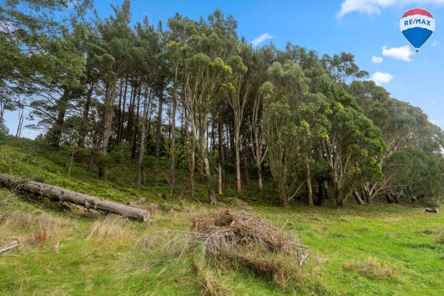 513 Maungakotukutuku Road Paraparaumu_1