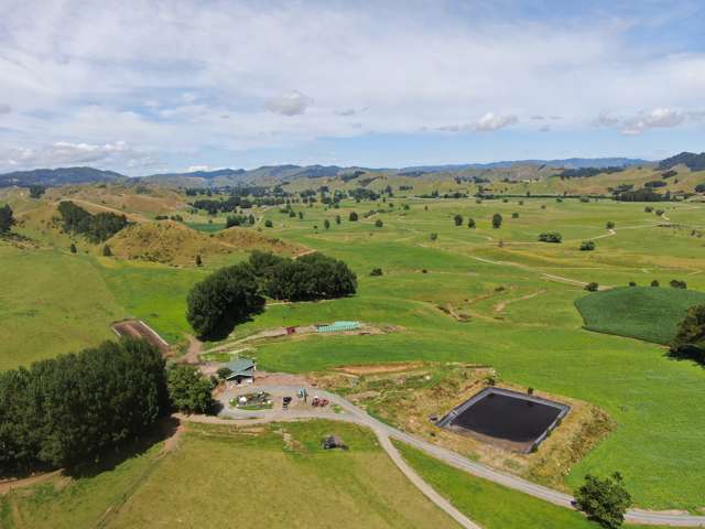 Milking or Grazing – the Choice is Yours