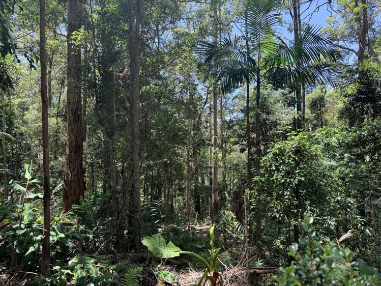 127 Wongawallan Road Tamborine Mountain_9