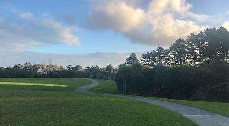 38 Fairlands Avenue Waterview_19