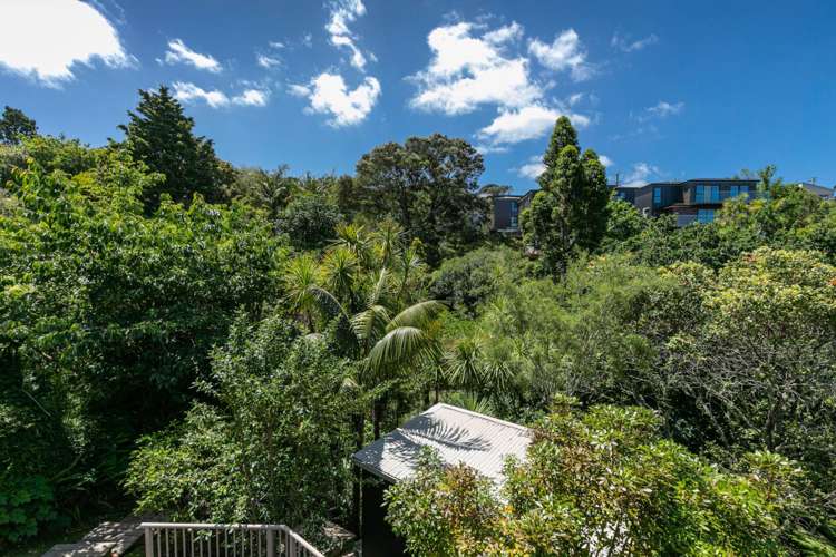 60 Braemar Road Castor Bay_66