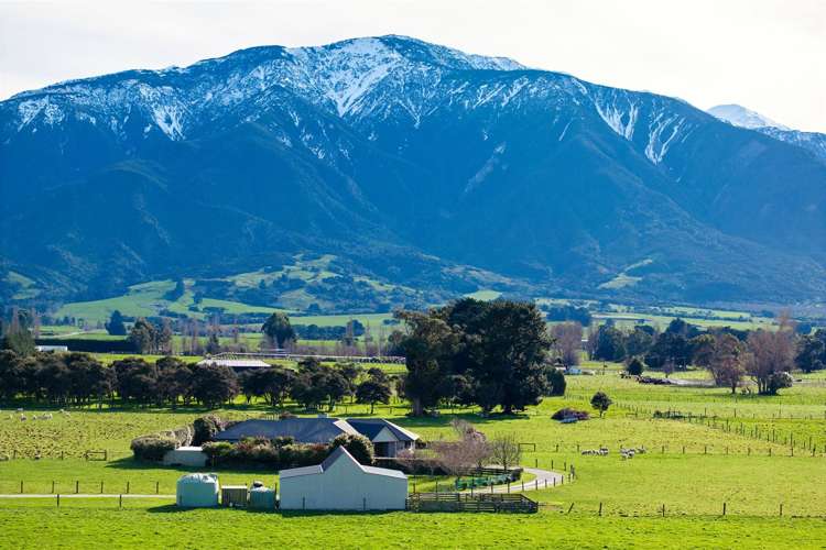 238 Red Swamp Road Kaikoura_6