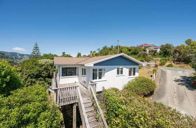 Packed with Potential in Central Nelson