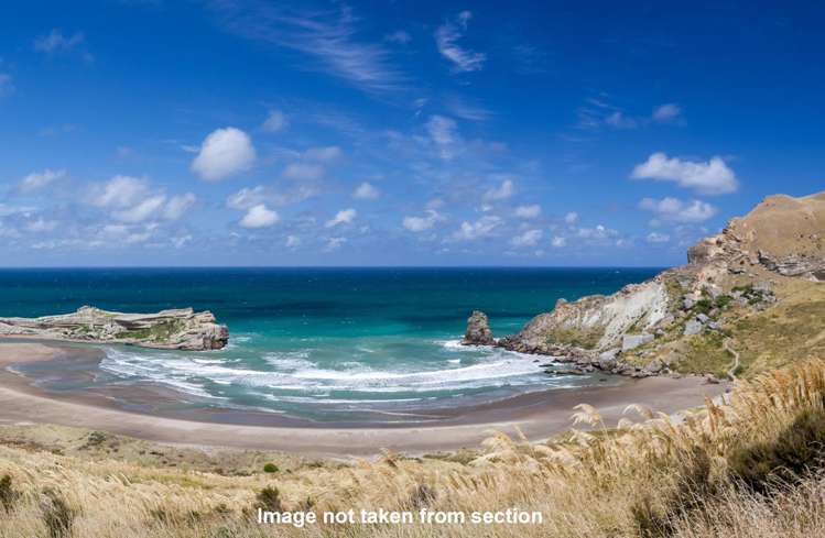 56 Balfour Crescent Castlepoint_5