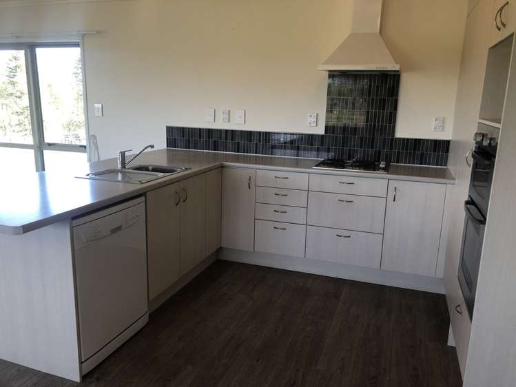 166e Postman Road Dairy Flat_13