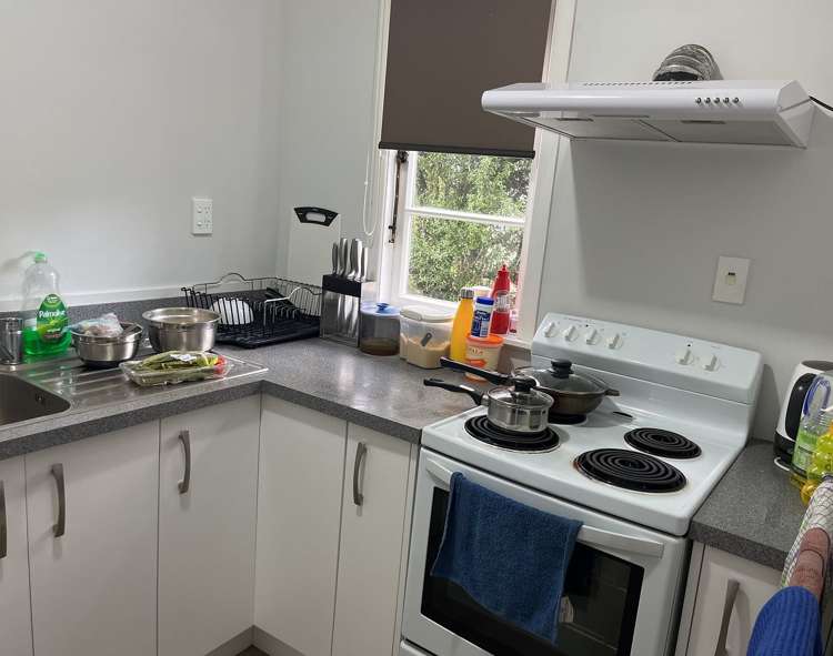 154 Hanson Street Newtown_8