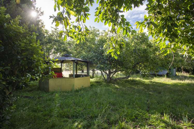 39 Cook Street Tolaga Bay_12