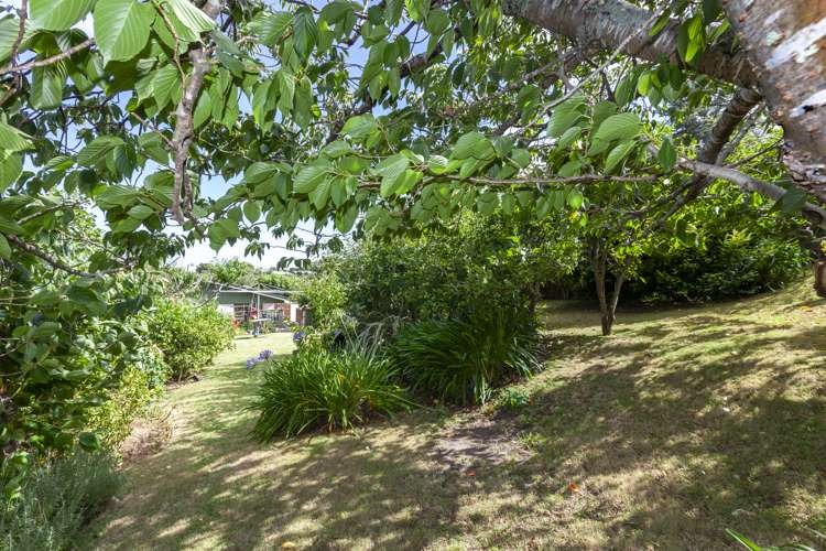 19 Dale Road Raumati South_11