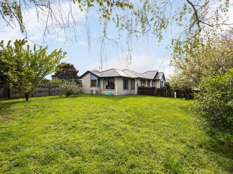 122 Dominion Road Nawton_15