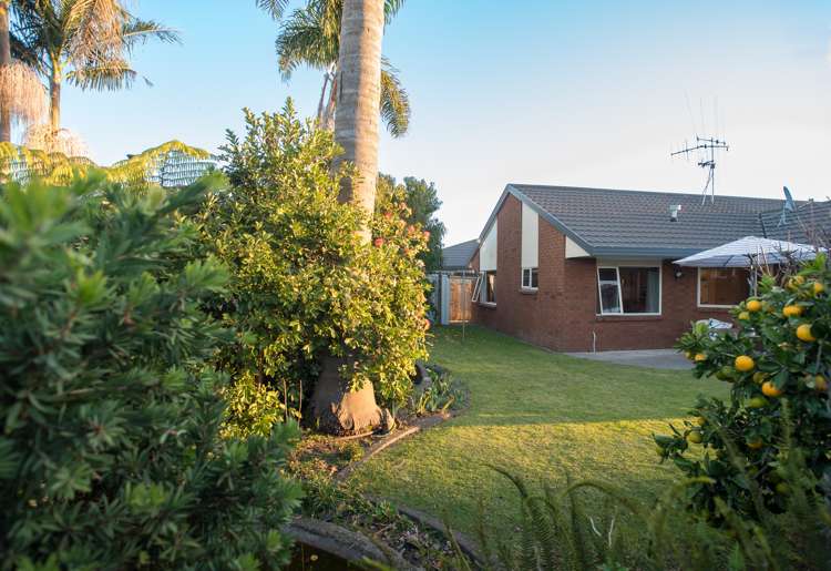 37 Luculia Drive Mount Maunganui_33