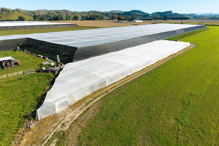 Lot 4 Judd Road Patutahi_12