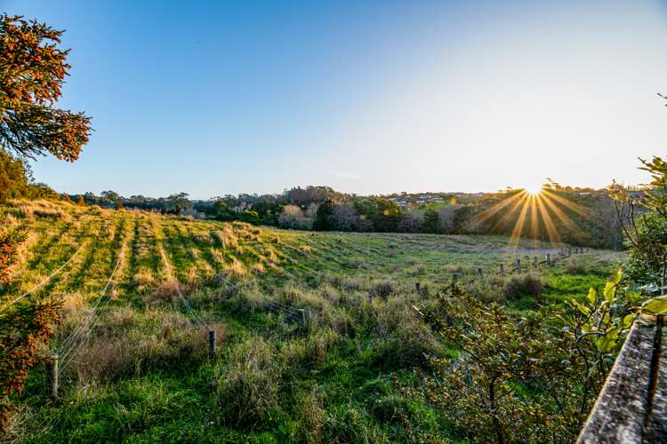 44 Roy Maloney Drive Henderson_26