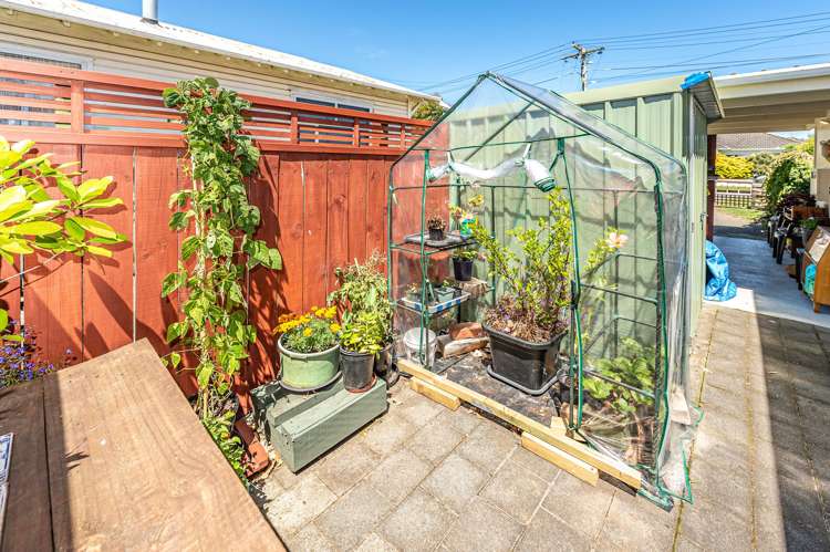 6A Nikau Street Tawhero_21