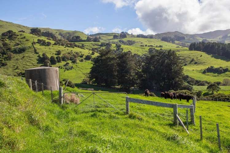 40 Pigeon Bay Road Duvauchelle_14