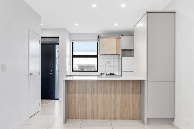 12 Magnetite Lane Flat Bush_4