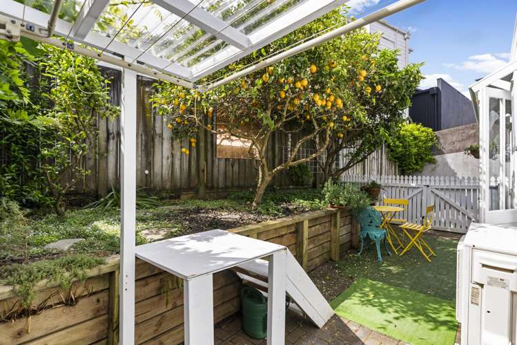 1 Murdoch Road Grey Lynn_13
