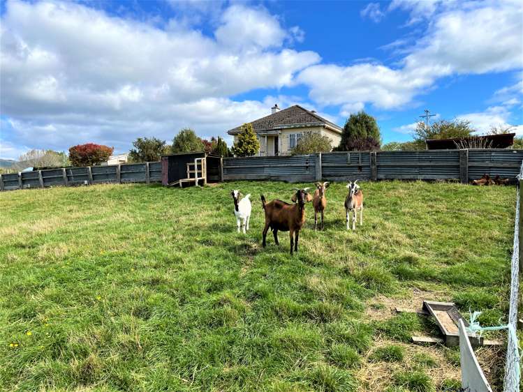 180 Waiwera Station Road Clinton and Surrounds_21