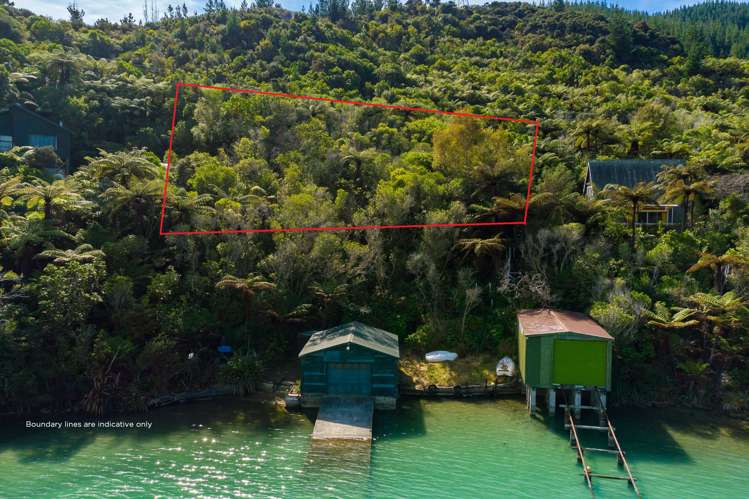 Tumbledown Bay Road Port Underwood_3