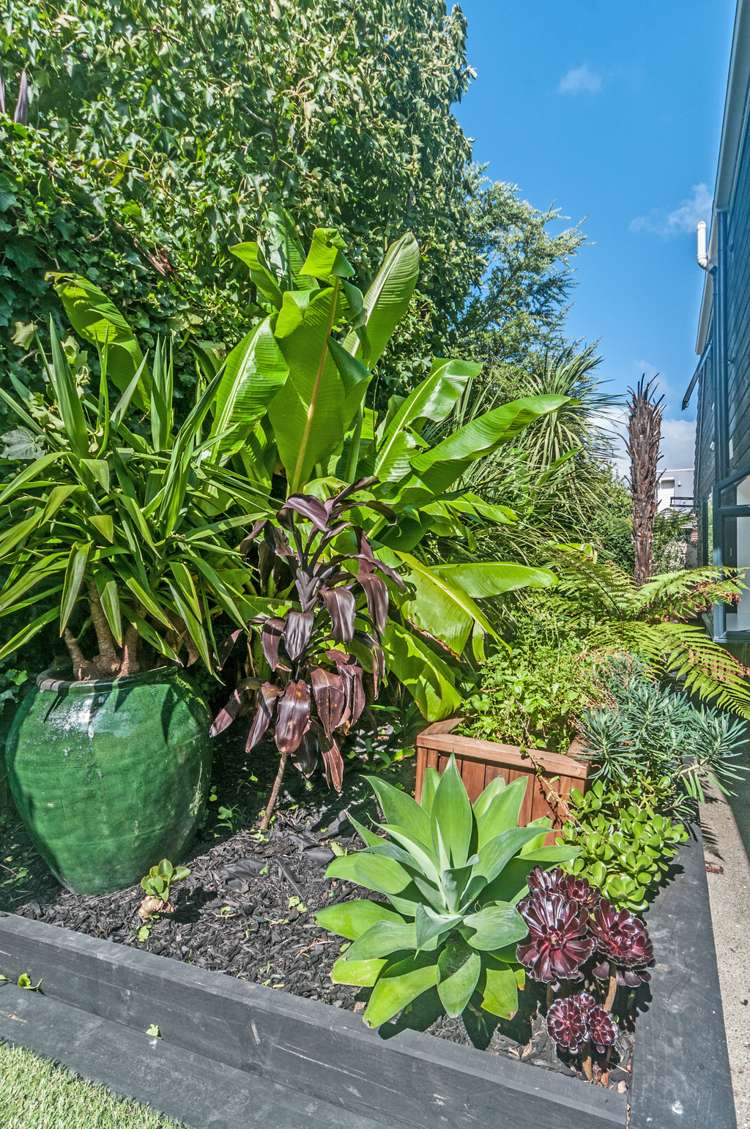 2/16 Sayegh Street Saint Heliers_17