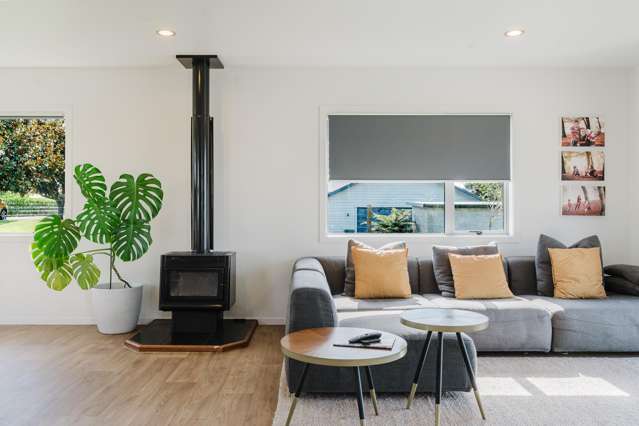 163F Ngahape Road Te Awamutu_4