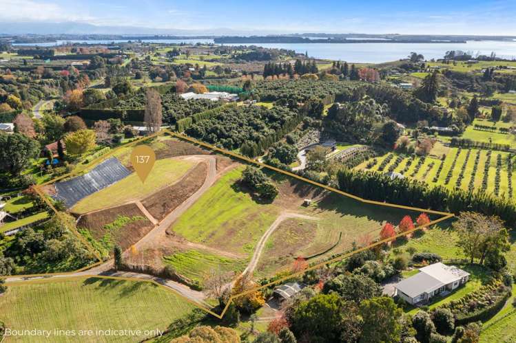 137 Lochhead Road Te Puna_8