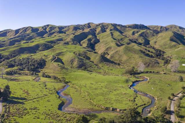 Cattle and Sheep Grazing