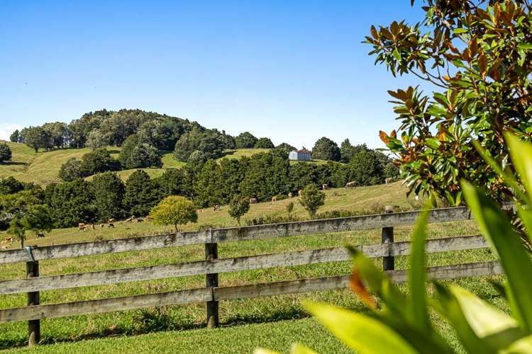 123 Whakapirau Road Wellsford_15