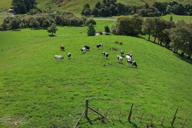 455 Anaroa Road Raukawa_4