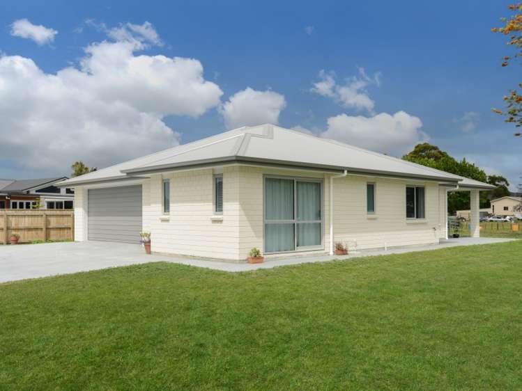 35 Jervois Road Jervoistown_17