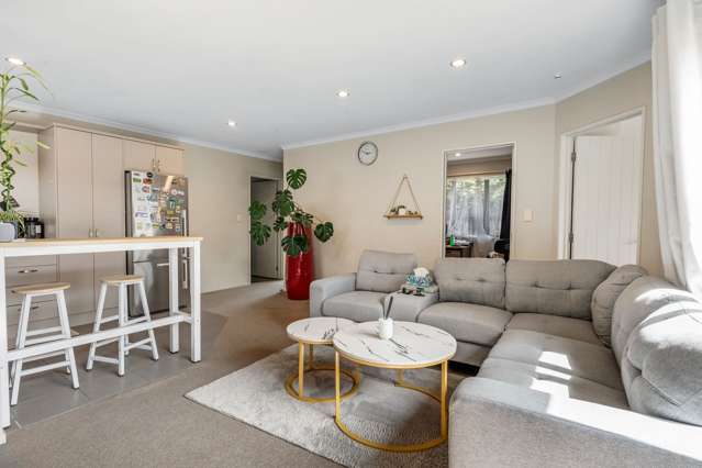 149B Princes Street West Pukekohe_4