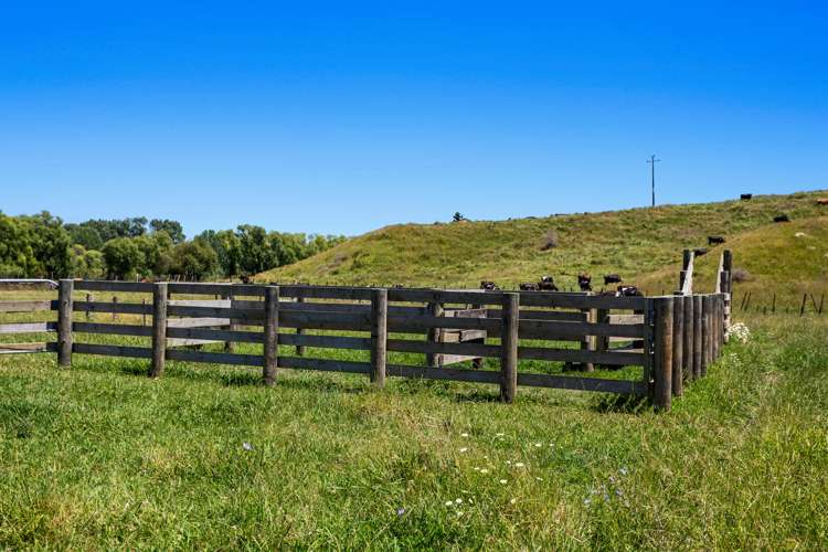 690 Taneatua Road Taneatua_13