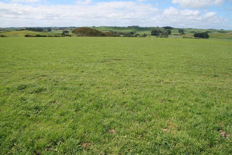 96 Lower Hunter Road Hawera_5