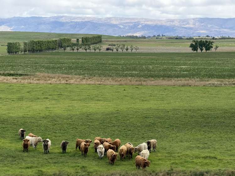 Bypass Road Ranfurly_17