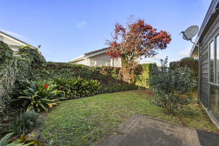 22b Peach Parade Remuera_14