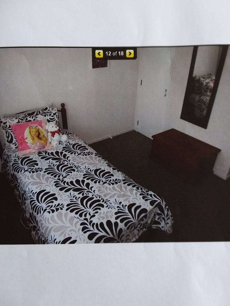 145c Maxwells Line Awapuni_6