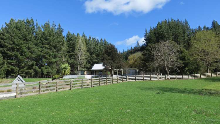 3957 Northbank Road Wairau Valley_19