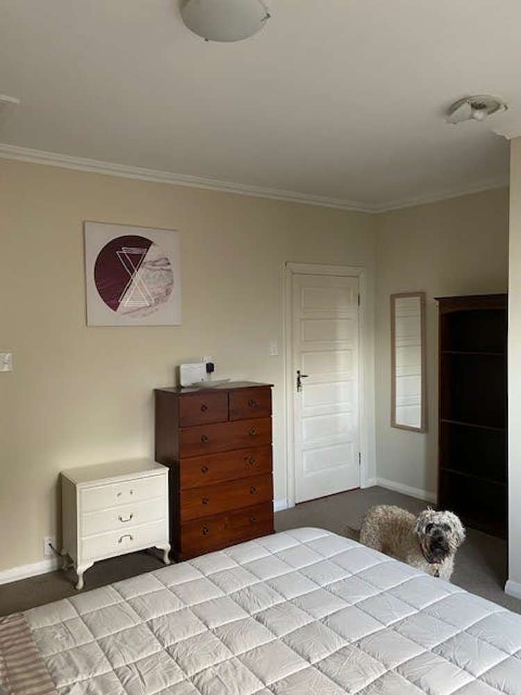 126 Grafton Road Roseneath_7