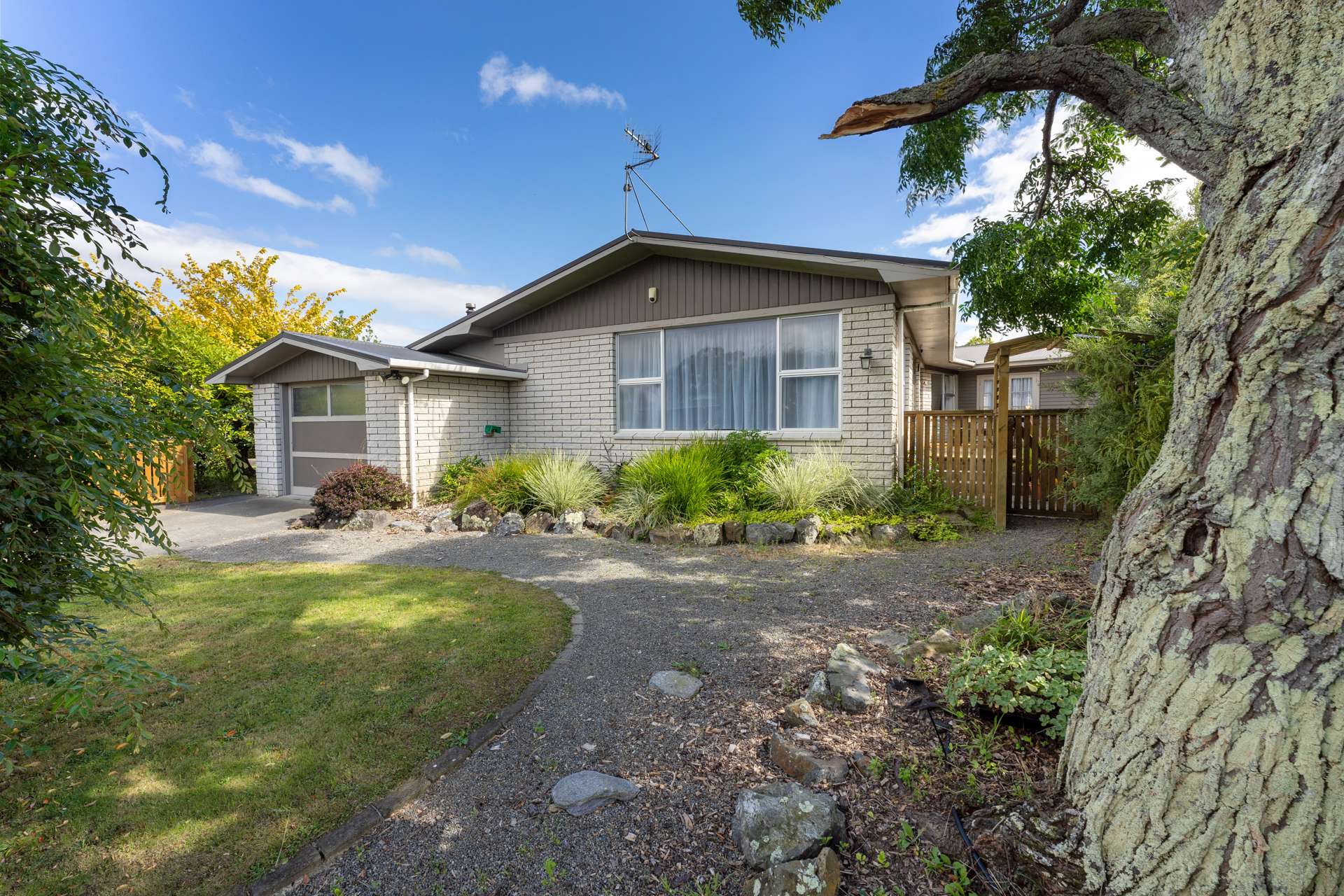 19 Mudgway Place Awapuni_0